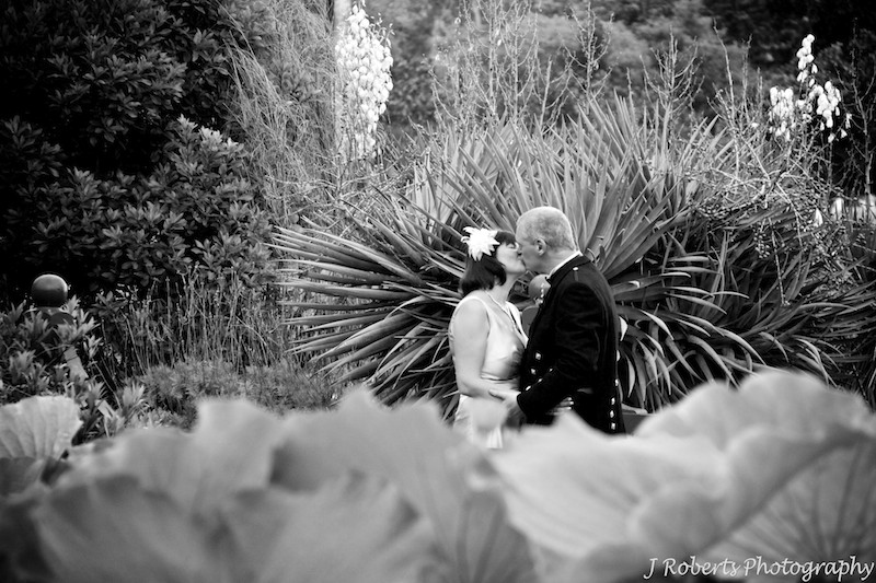 Bride and groom with lilly pond - wedding photography sydney